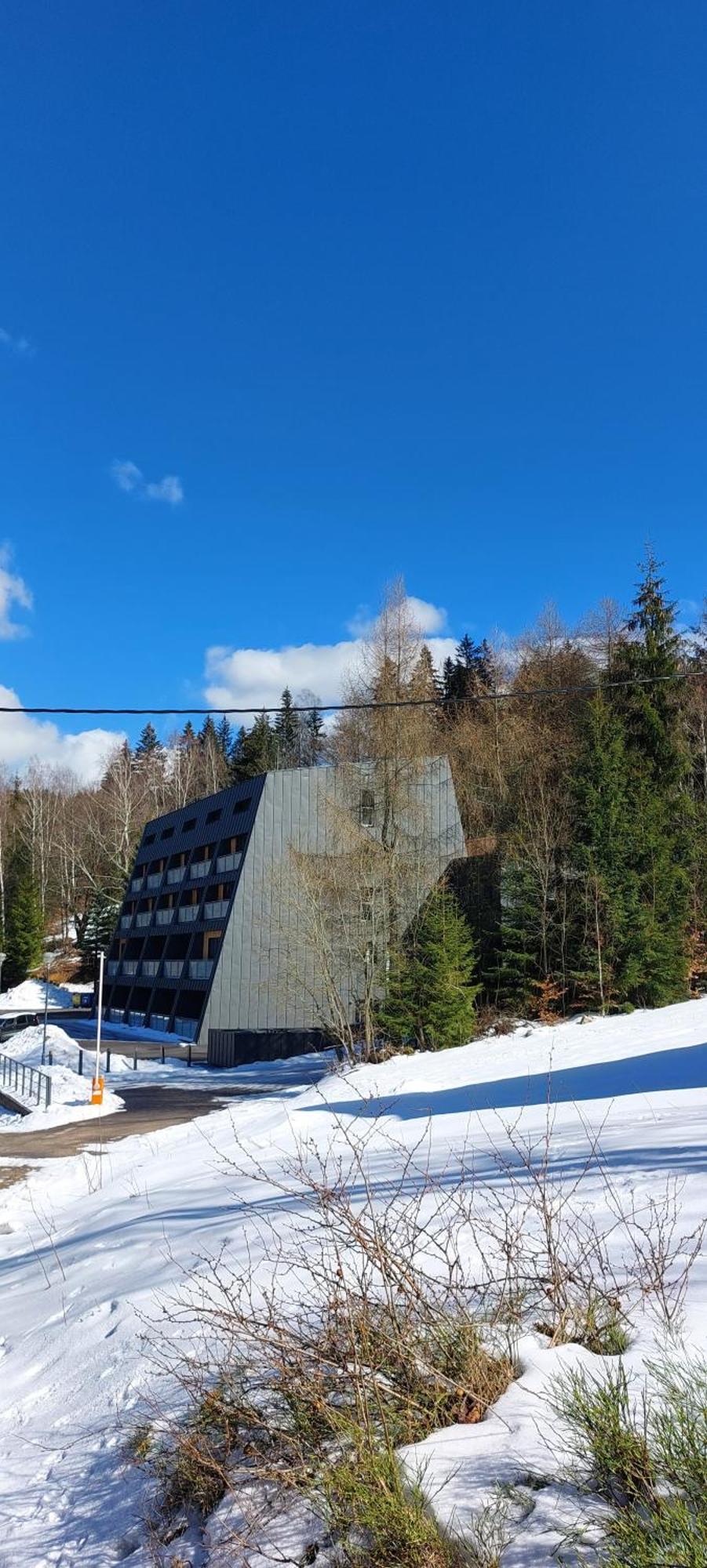 Apartman Na Kraji Lesa Янов-над-Нисоу Экстерьер фото